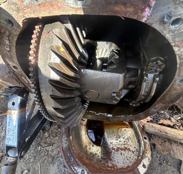 Service Image